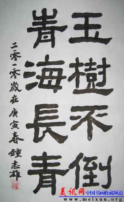 玉树不倒青海长青2010422.jpg